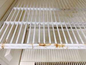 栃木県芳賀郡益子町益子にて出張買取したHOSHIZAKIの冷蔵ショーケースのSSB-85ATの棚板の写真